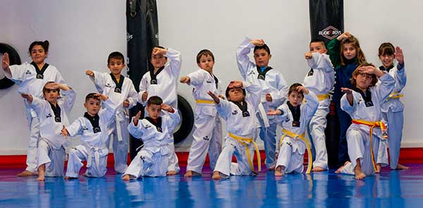 Taekwondo 11