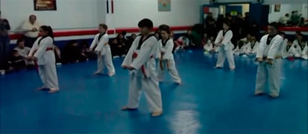 Vídeo Taekwondo 2